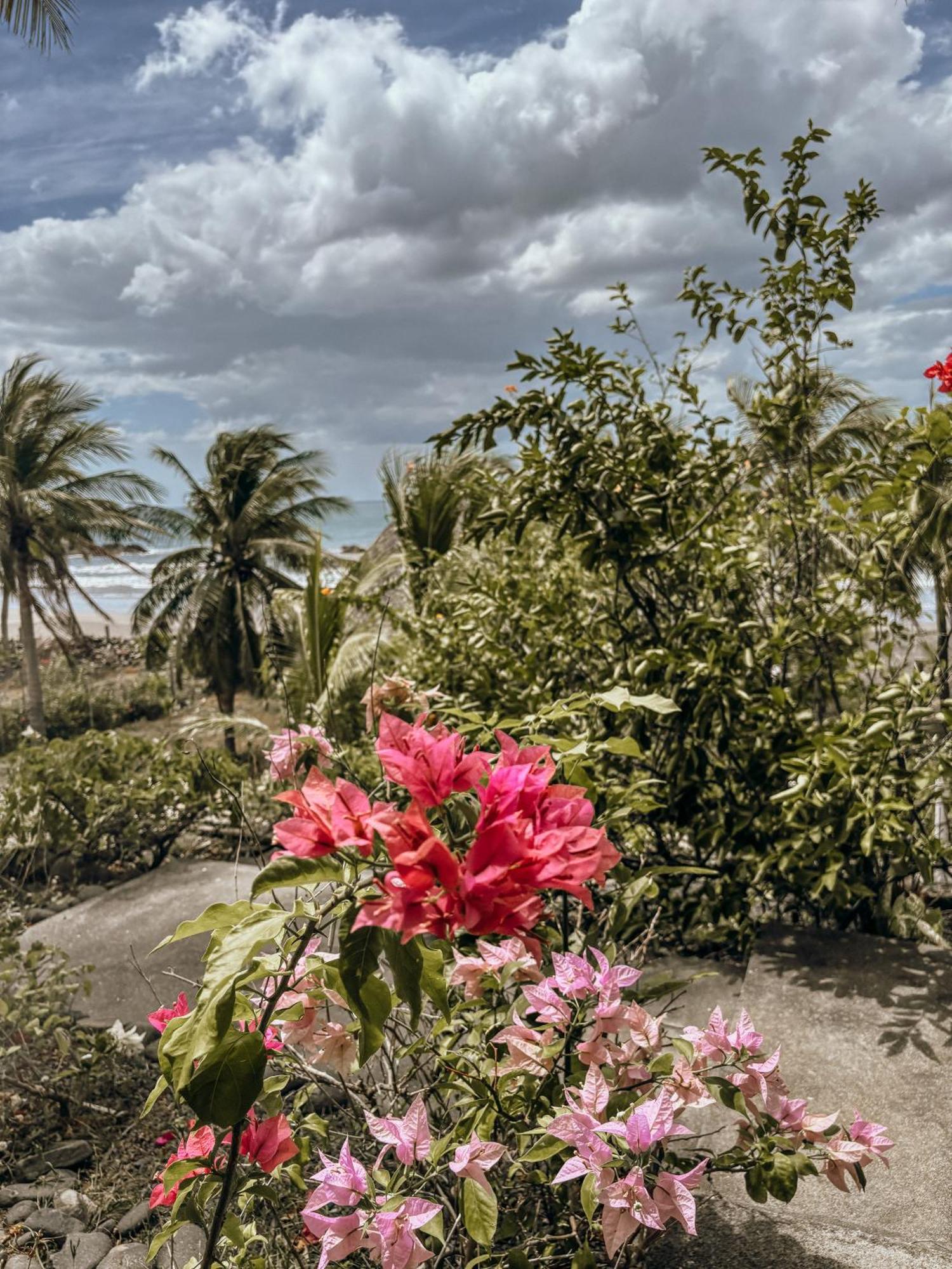 Nimbu Beachhouse Transito Dış mekan fotoğraf