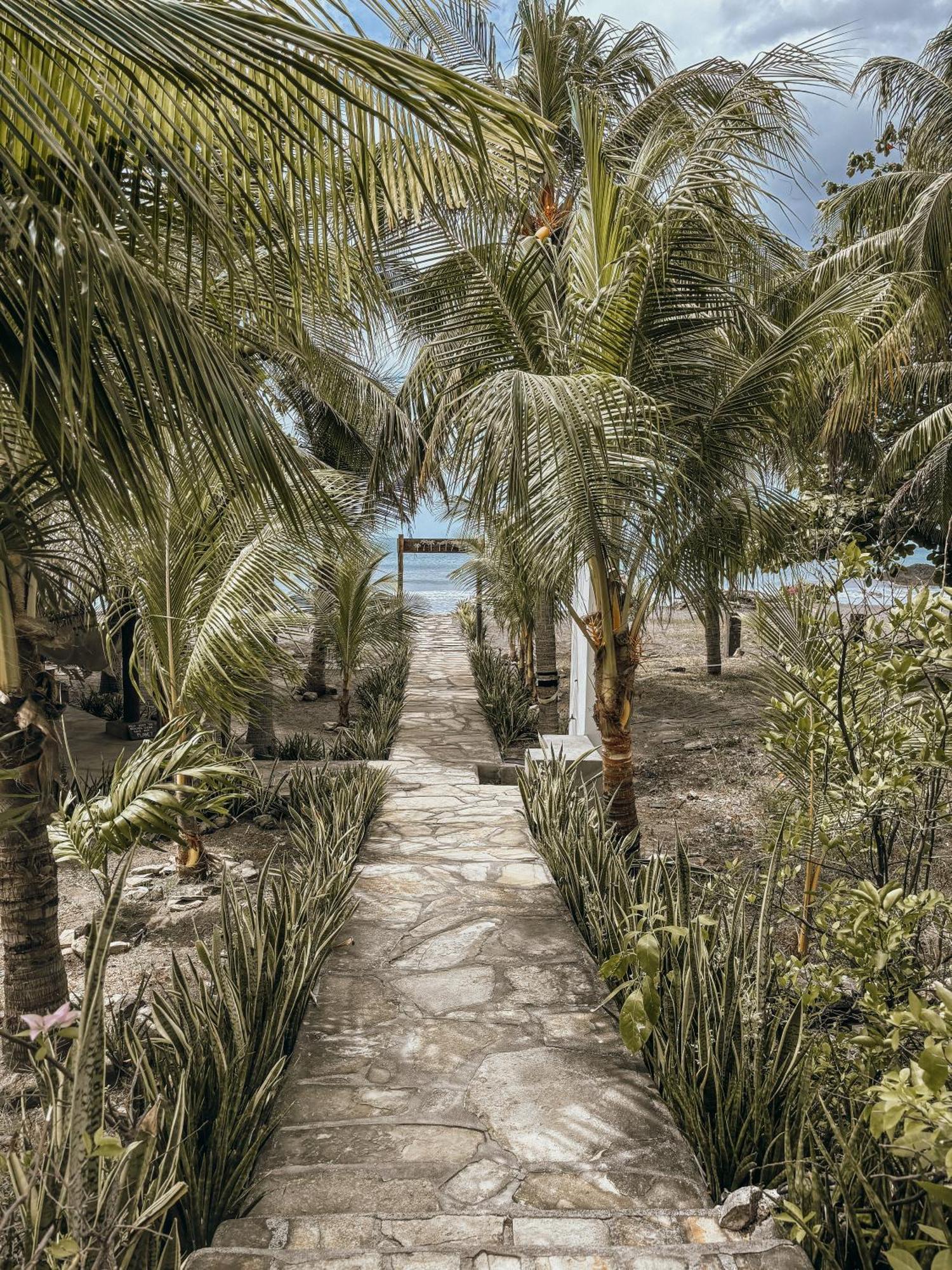 Nimbu Beachhouse Transito Dış mekan fotoğraf