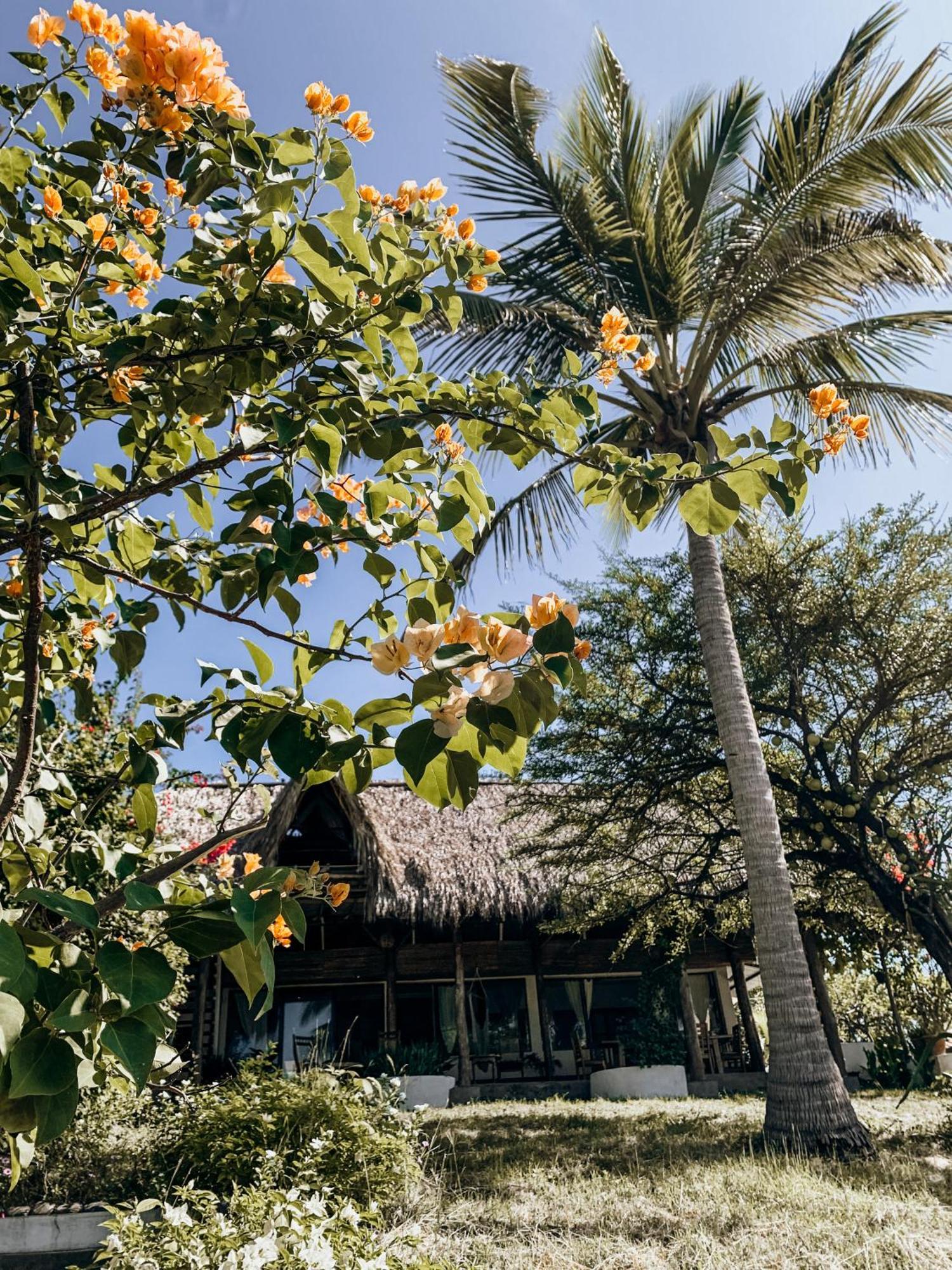 Nimbu Beachhouse Transito Dış mekan fotoğraf