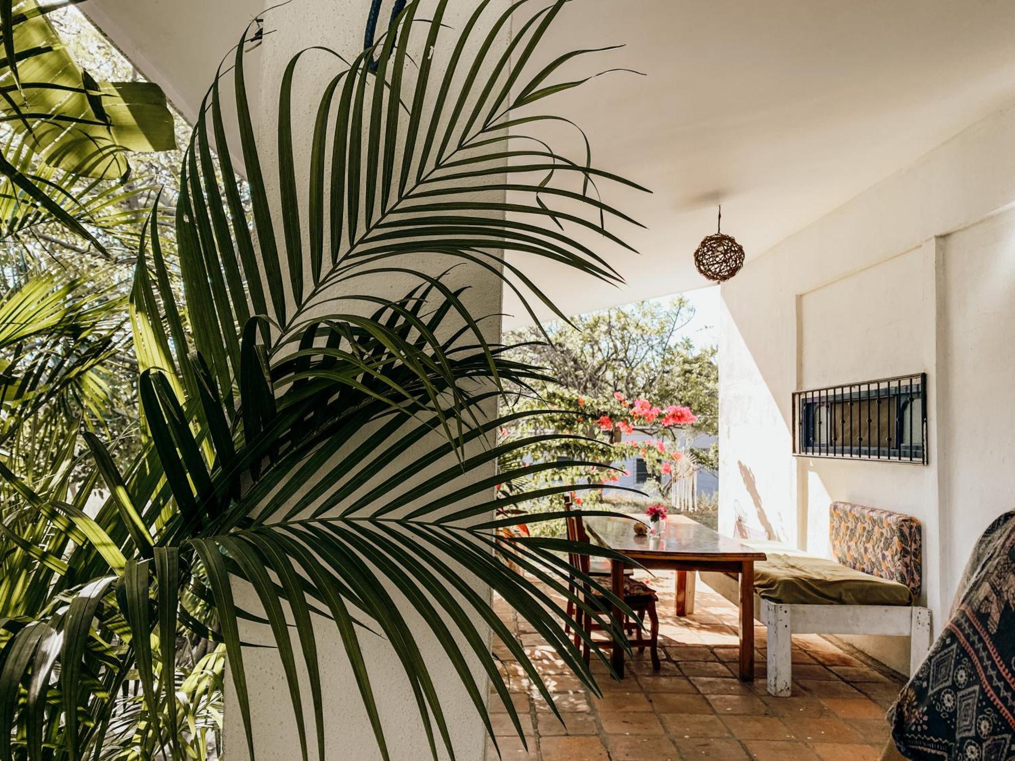 Nimbu Beachhouse Transito Dış mekan fotoğraf